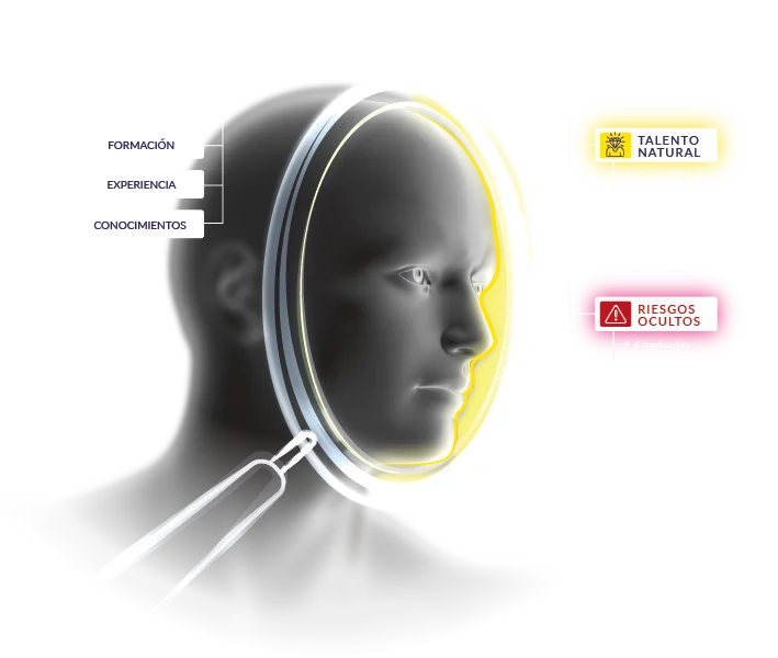 cabeza lupa metodologia