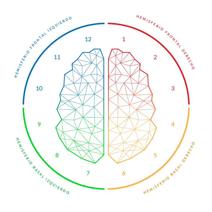 Gráfico circular con hemisferios cerebrales en colores azul, verde, rojo y naranja, representando el modelo de Competencias y Preferencias Cerebrales de Psigma Corp en Neuro Kompe.