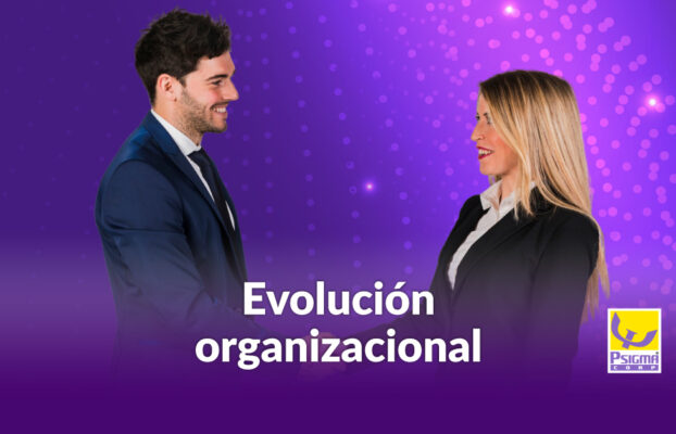 Cuando la comprensión precede a la decisión