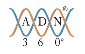 Logo de ADN 360, herramienta de evaluación de desempeño por competencias