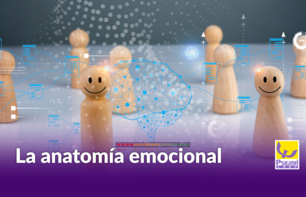 la anatomía emocional de las organizaciones que perduran