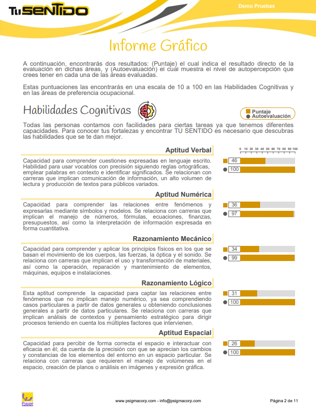 Informe gráfico de habilidades cognitivas de la prueba TU SENTIDO de Psigma que ayuda a elegir qué carrera estudiar en Colombia.